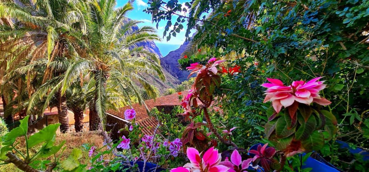 Paradise Tenerife San Miguel de Abona Zewnętrze zdjęcie